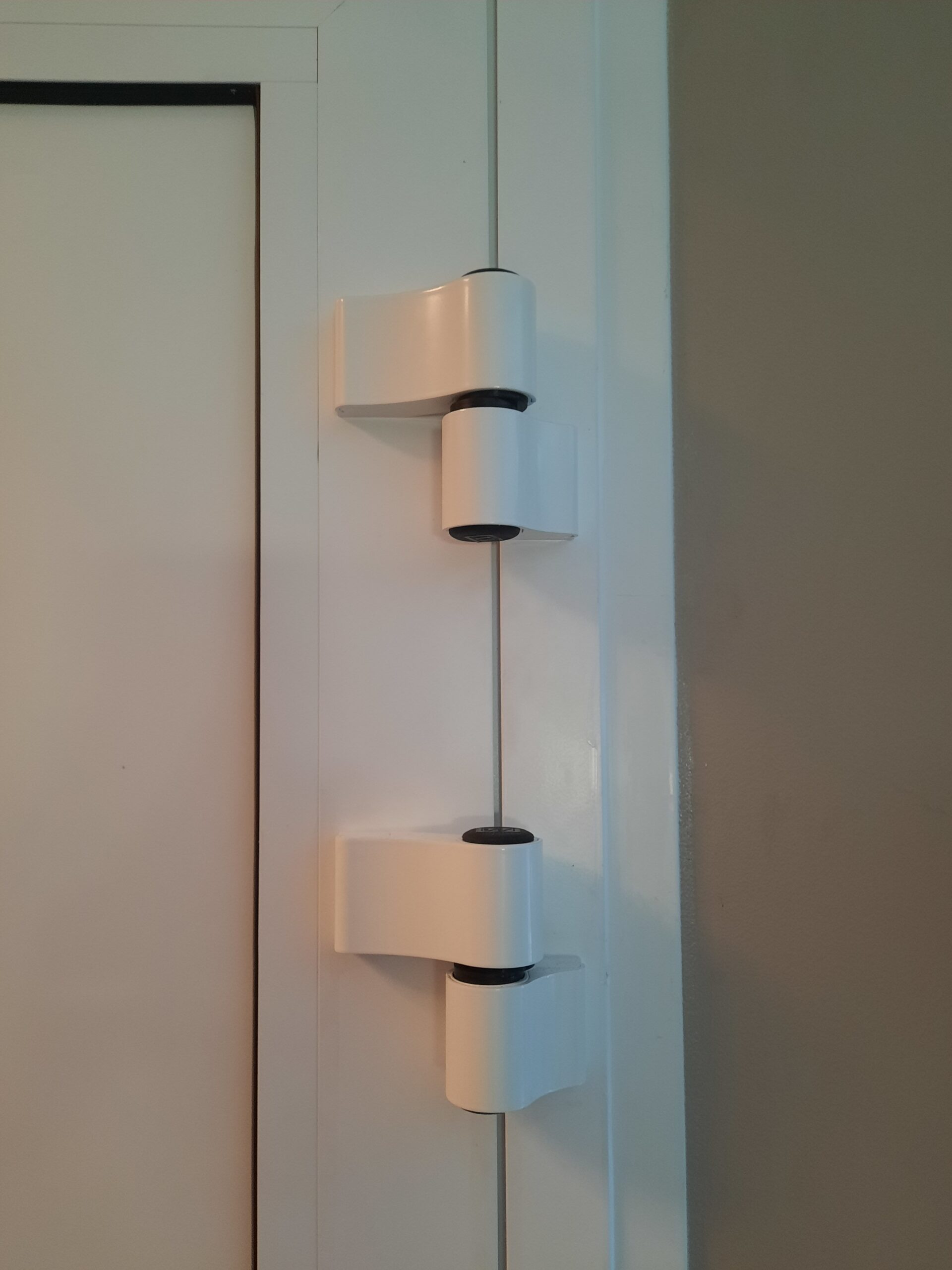 Paumelles renforcées de porte d’entrée près d’Angers.